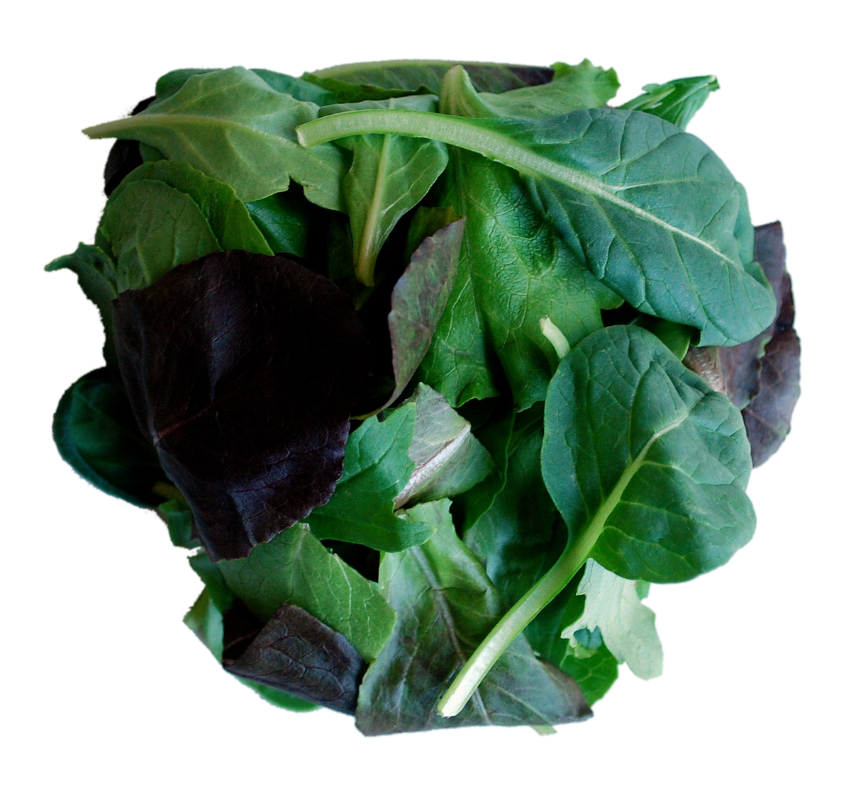 Mixed Greens 1 Doughocracy